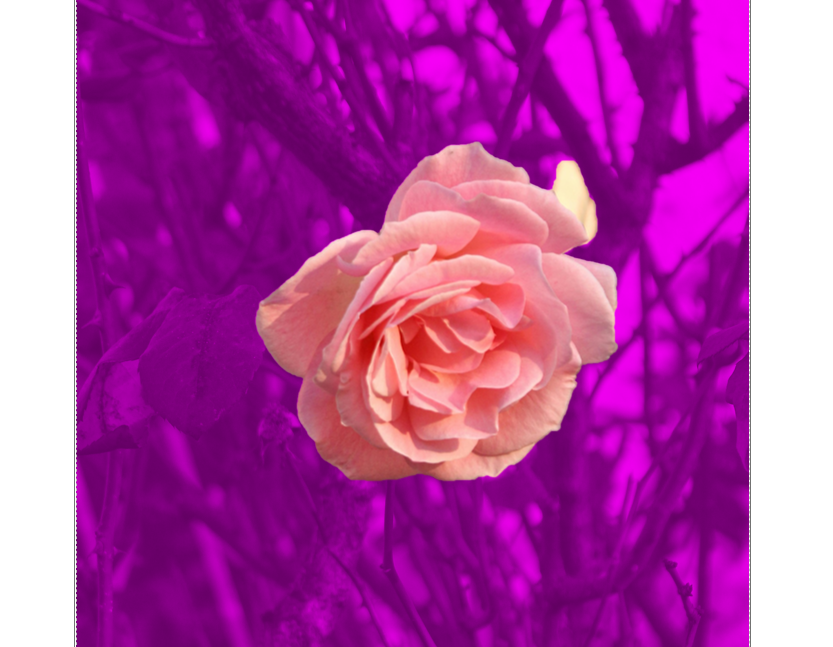 Automatic background selection