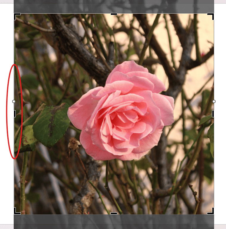 Background adjustment