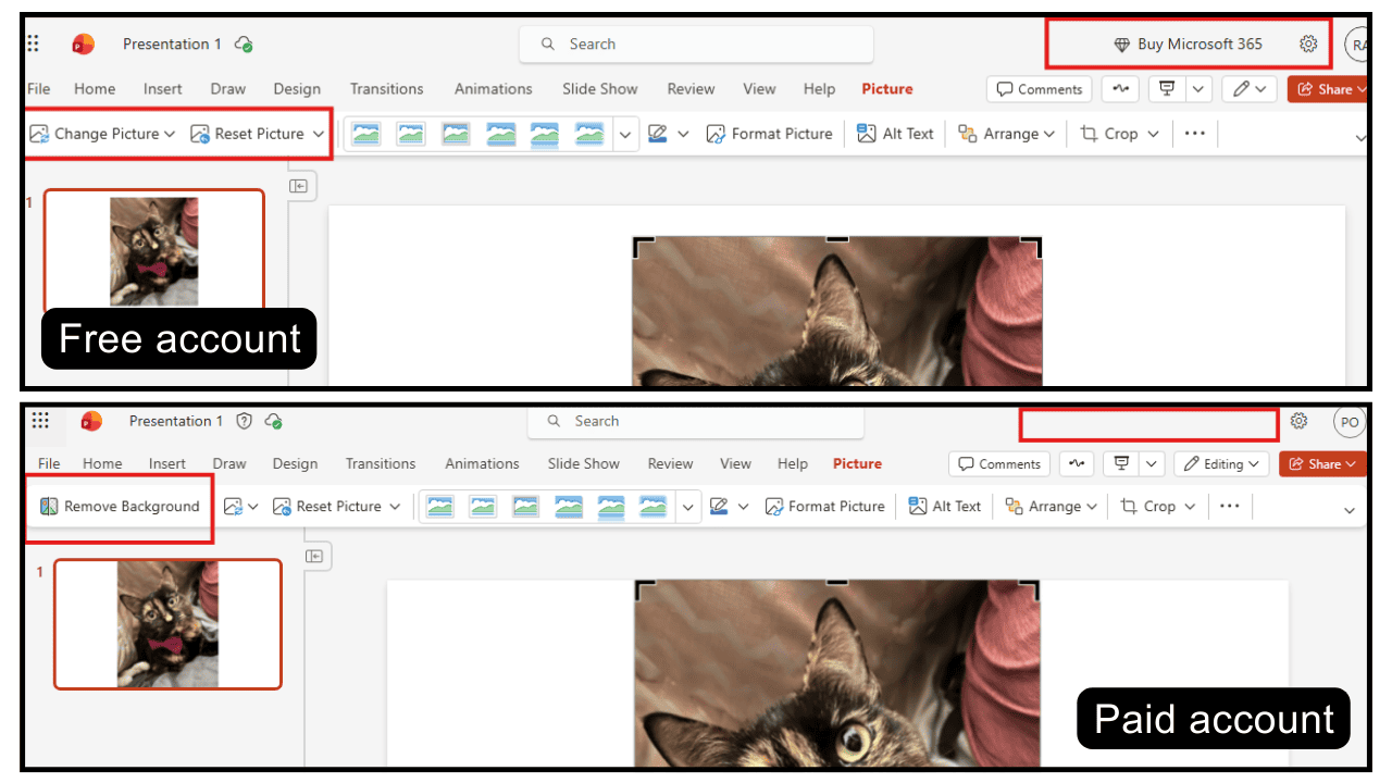 Online powerpoint Paid Vs. Free account