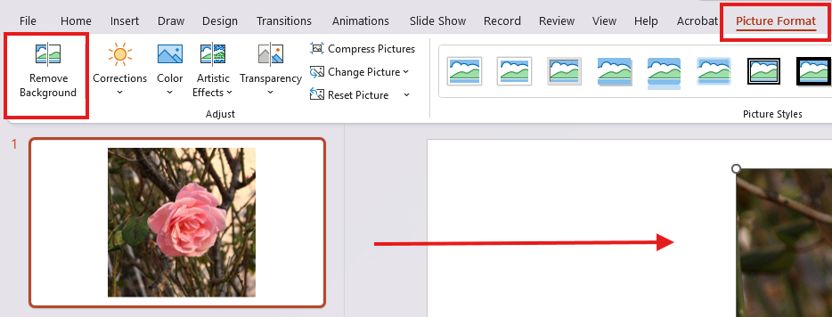 Picture format background removal