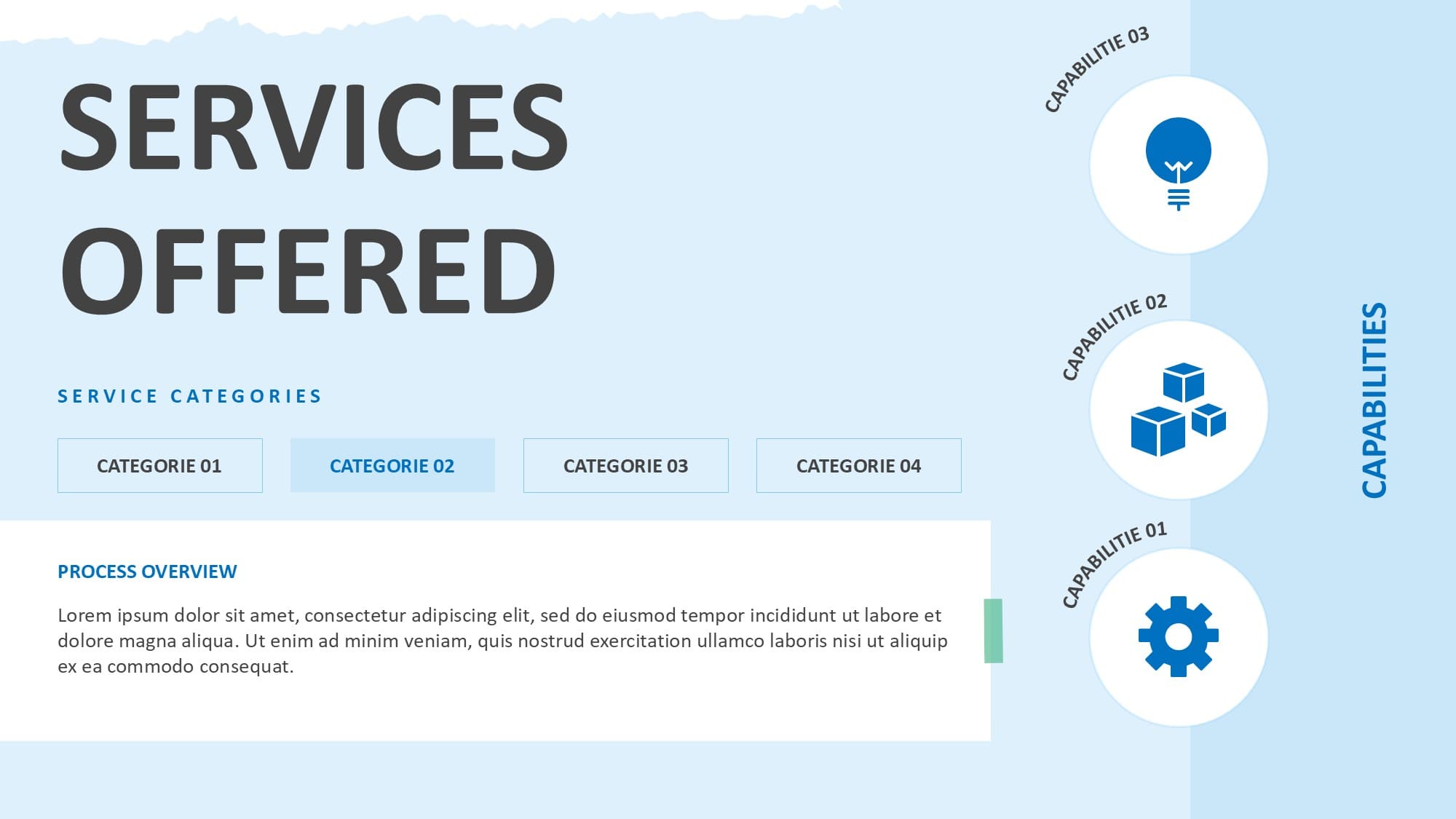A Services Offered slide for a creative freelancer presentation, featuring three clean sections with icons to display service categories and capabilities.
