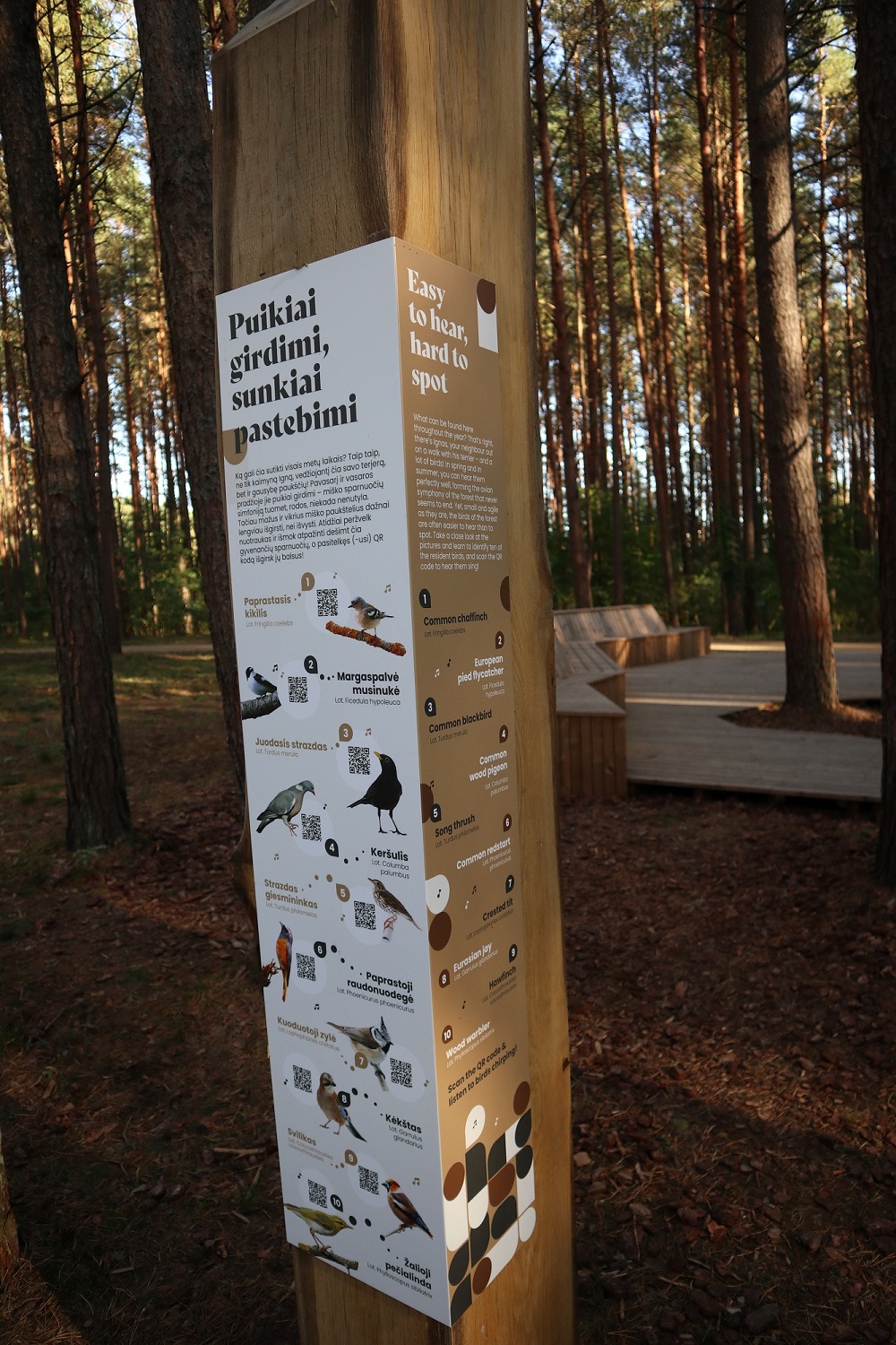 Ignalinos miško parkas | Ignalinos rajono savivaldybės nuotr.