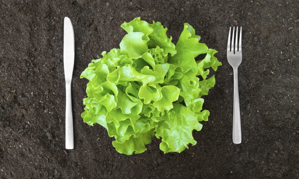 Ekologiškas maistas | „Shutterstock“ nuotr.