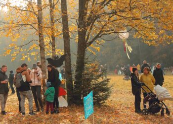 Mažoji Lietuvos kultūros sostinė 2023 – Plateliai – kviečia į įspūdingą gamtos šventę „Miško burtai“ | Jonkus Photography nuotr.