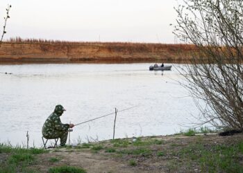 Nuo balandžio 22 d. apribojama karšių žvejyba Nemuno deltoje | aad.lrv.lt nuotr.
