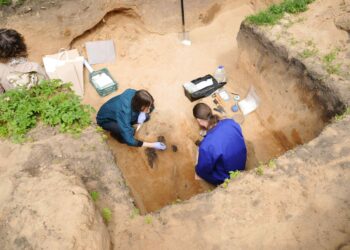 Nauji archeologiniai atradimai Verkių dvaro sodybos teritorijoje | lnm.lt nuotr.