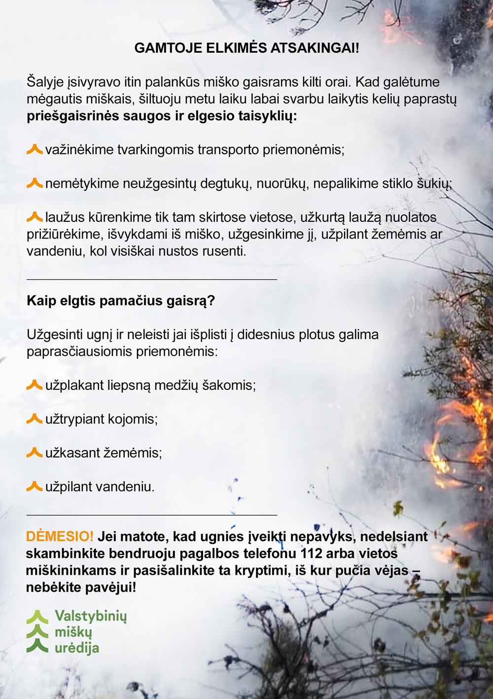 Miškininkai pristato gaisrų kilimo pavojų Lietuvos miškuose žemėlapį | am.lrv.lt nuotr.