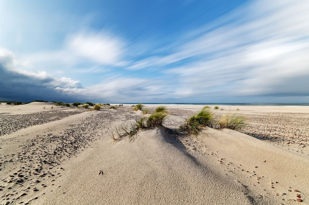 Nuo šiol kiekvienas gali prisidėti prie Baltijos jūros išsaugojimo | Shutterstock  nuotr.