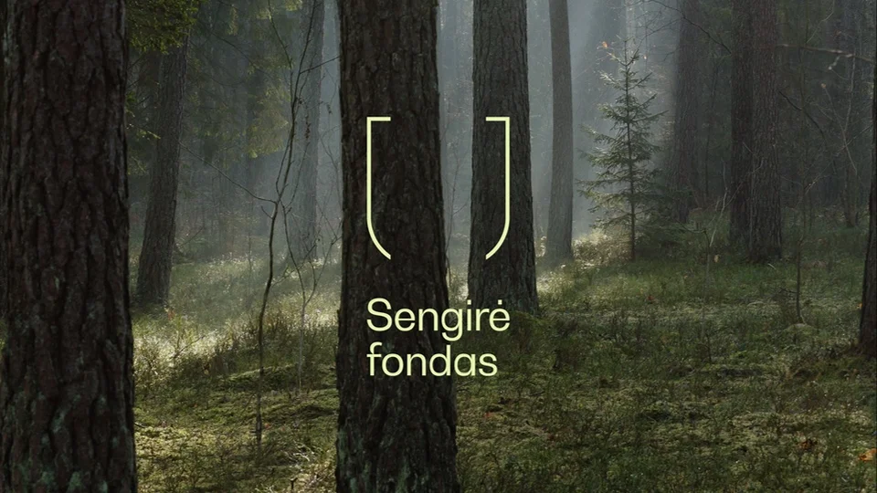 „Sengirės fondas“ išpirko dar vieną miško plotą – šaltinio ištakas saugantį dzūkišką pušyną | Fondo nuotr.