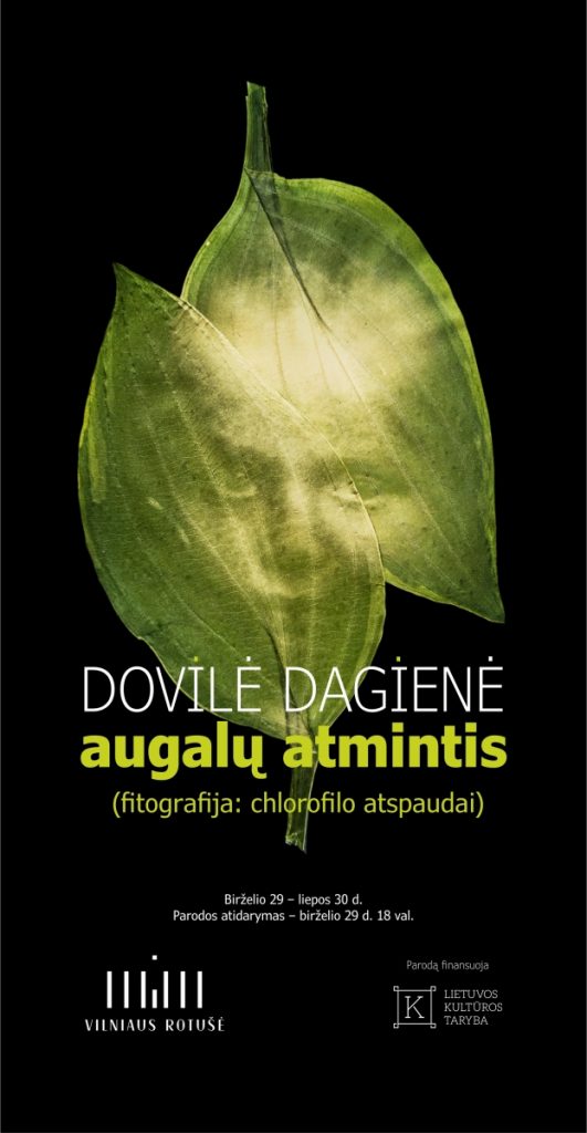 Izraelyje pirmą kartą pristatomi menininkės Dovilės Dagienės darbai | artnews.lt nuotr.