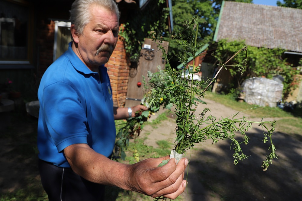 H. Lotužis savo sodyboje pasakoja apie vaistažolių naudą | A. Kavaliauskienės nuotr.