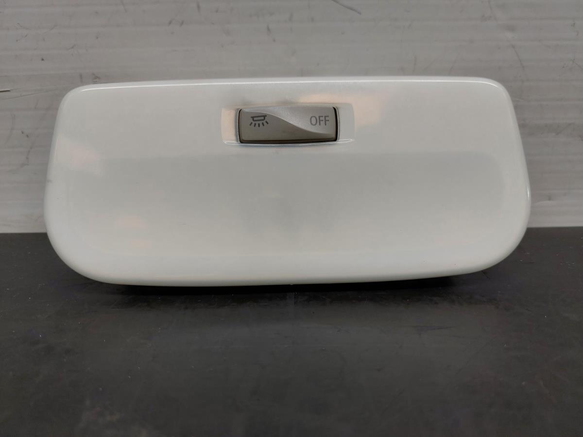 Interior roof light RENAULT Megane III (BZ0_)