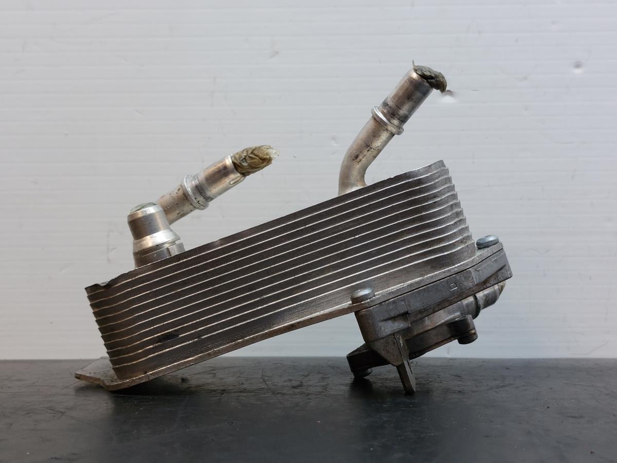 Radiador do óleo BMW 1 (E87)