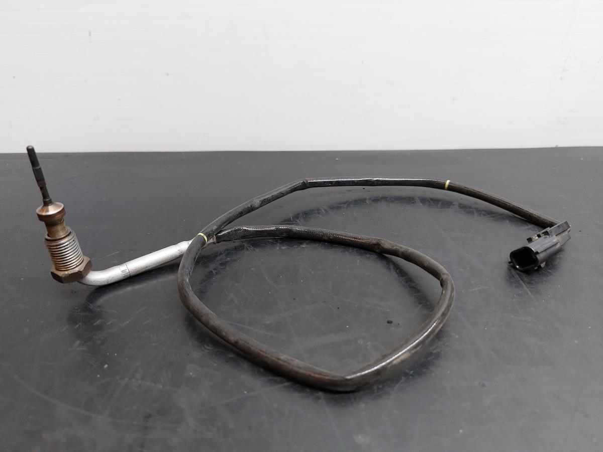 Sonda lambda NISSAN Juke (F15)