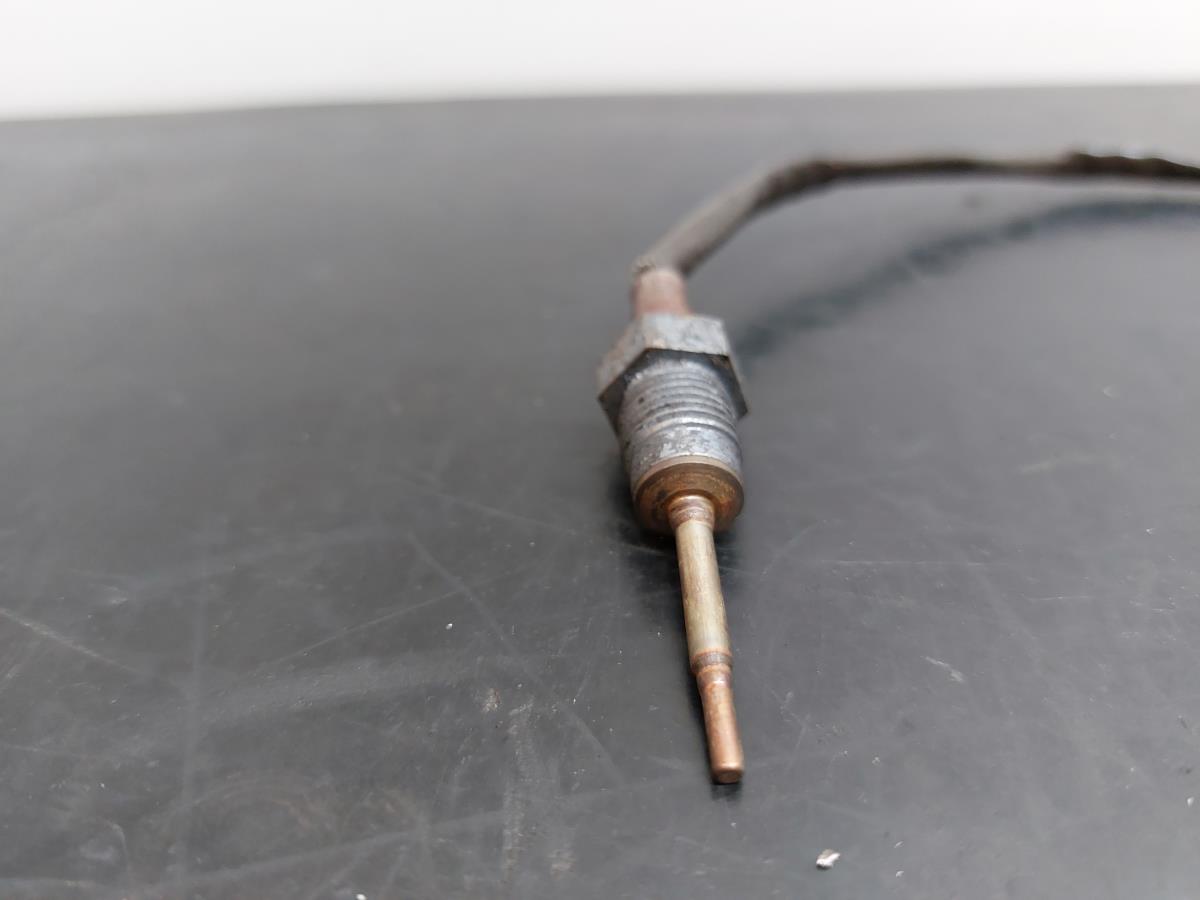 Sonda lambda NISSAN Juke (F15) Imagem-1