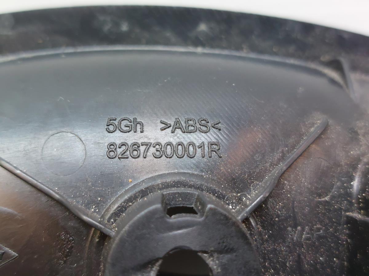 Rear Left interior door handle RENAULT Megane III (BZ0_) Imagem-2