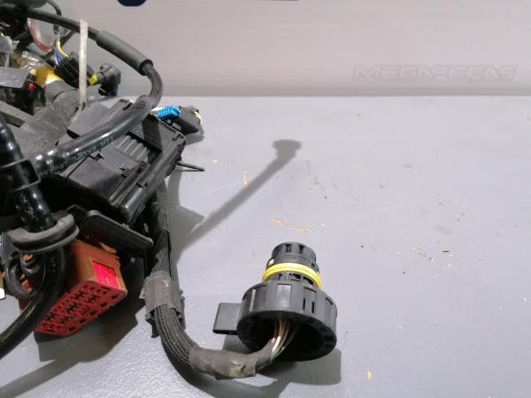 Engine wiring JAGUAR XF (X250) Imagem-4