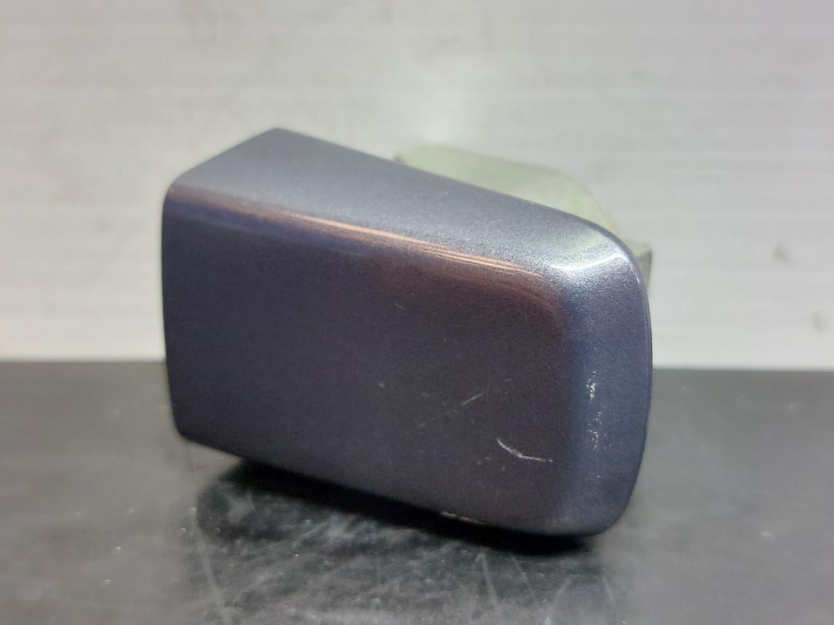 Right Door handle cover  NISSAN Qashqai/Qashqai+2 I (J10, JJ10) Imagem-1