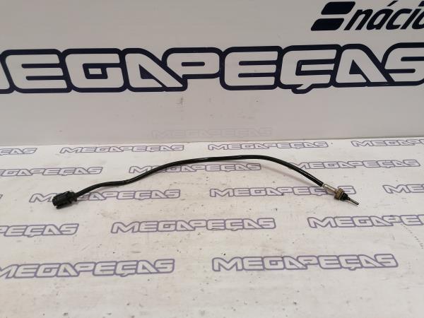 Sensor de Temperatura BMW 3 (F30, F80) | 2011 - 2018