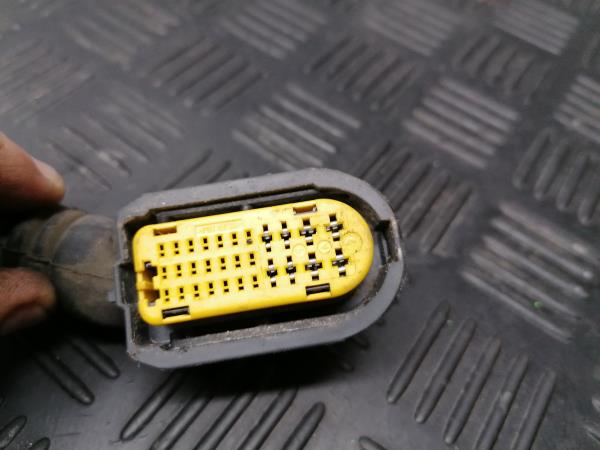 Interior wiring RENAULT Megane III (BZ0_) Imagem-1