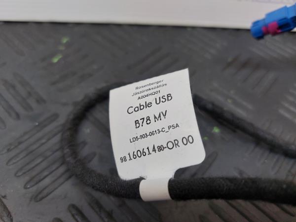 Módulo USB / AUX / IPOD CITROËN C4 Grand Picasso II (DA_, DE_) Imagem-3