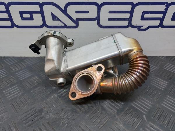 Radiador de gases / EGR NISSAN Qashqai II (J11) Imagem-2
