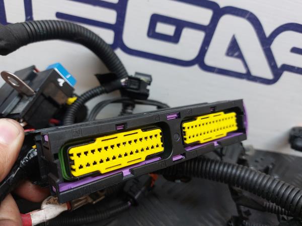 Cablagem motor DACIA Sandero II (5S_) Imagem-1