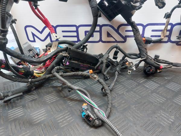 Cablagem motor DACIA Sandero II (5S_) Imagem-2