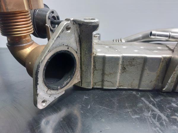 Radiateur de gaz EGR BMW 1 (F20) Imagem-7