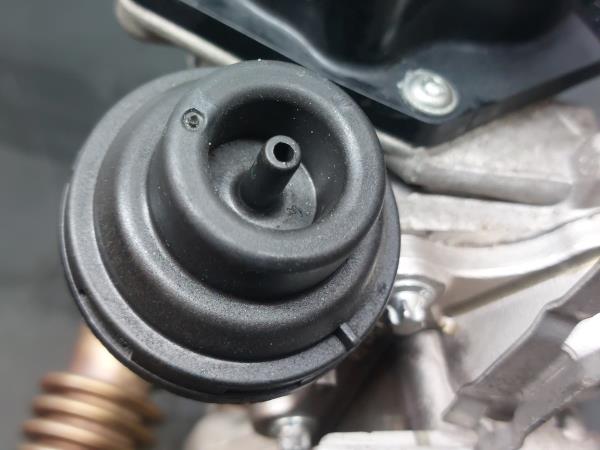 Radiador de gases / EGR AUDI A5 Sportback (8TA) Imagem-10