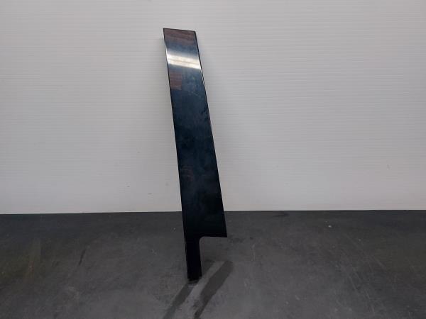 Right rear door trim RENAULT Megane III (BZ0_)