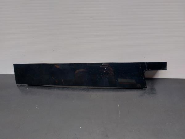 Moulure de porte arrière gauche RENAULT Megane III (BZ0_)
