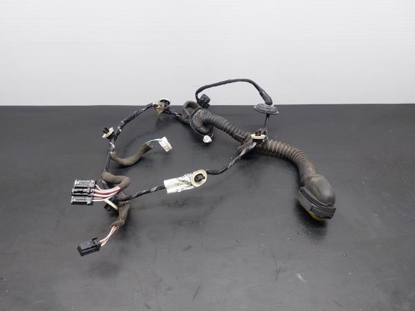 Interior wiring RENAULT Megane III (BZ0_)