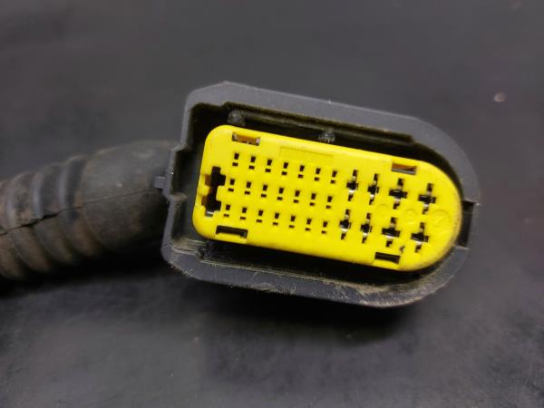 Cablaggio interno RENAULT Megane III (BZ0_) Imagem-1