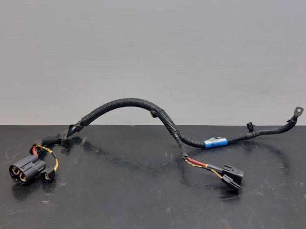 Interior wiring RENAULT Talisman (L2M_)