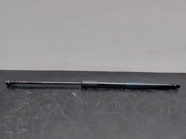 Amortisseur de coffre BMW 1 (F20)