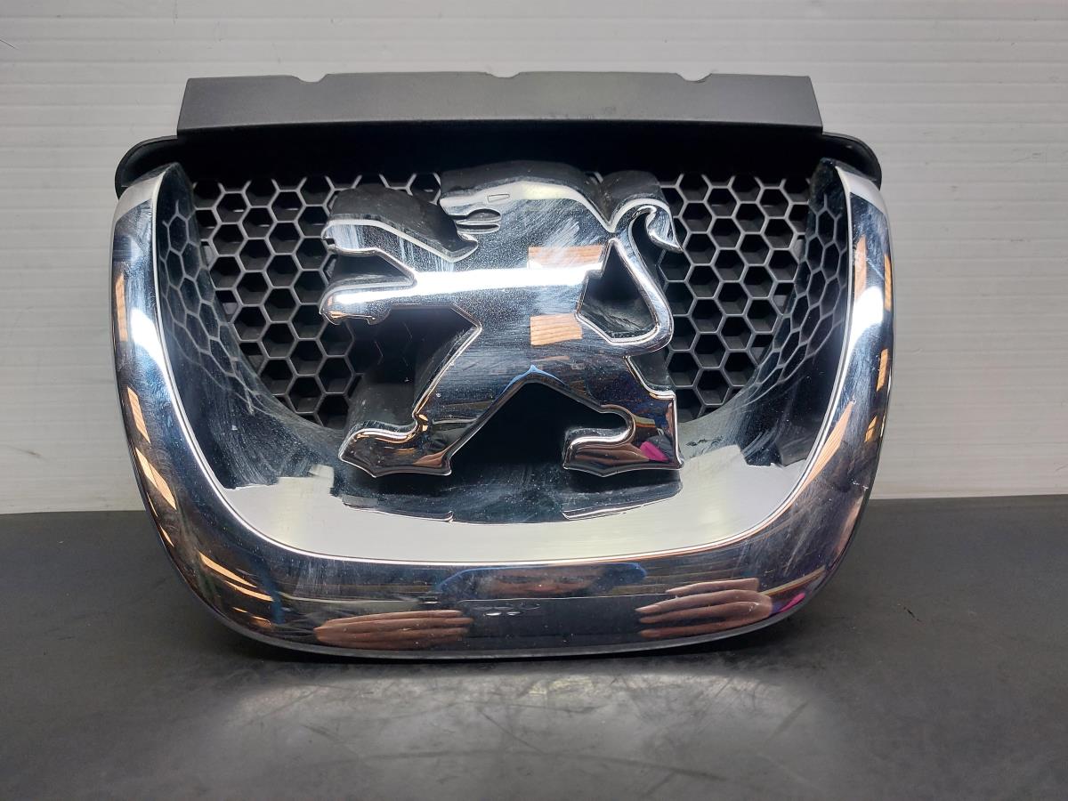 Rejilla delantera PEUGEOT 308 (4A_, 4C_) Imagem-1