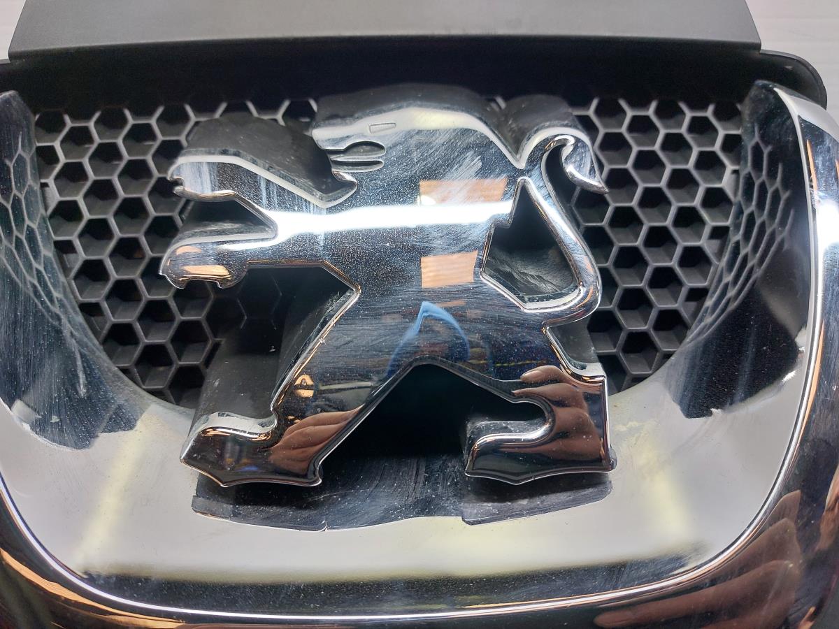 Rejilla delantera PEUGEOT 308 (4A_, 4C_) Imagem-2