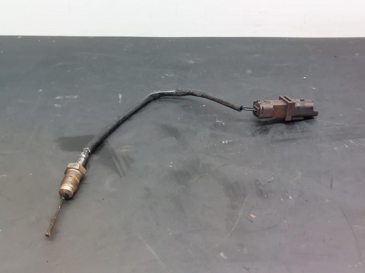 Sonda lambda PEUGEOT 3008 I (0U_)