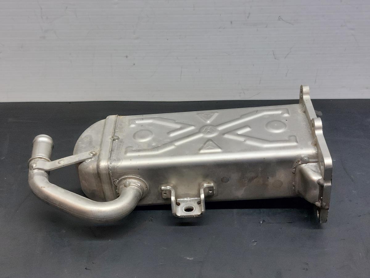Radiador de gases / EGR VOLKSWAGEN Polo (6R, 6C)