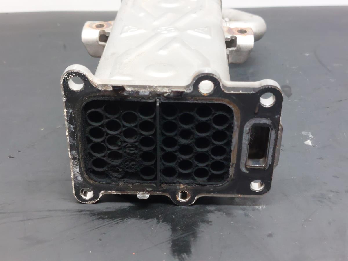 Radiador de gases / EGR VOLKSWAGEN Polo (6R, 6C) Imagem-5
