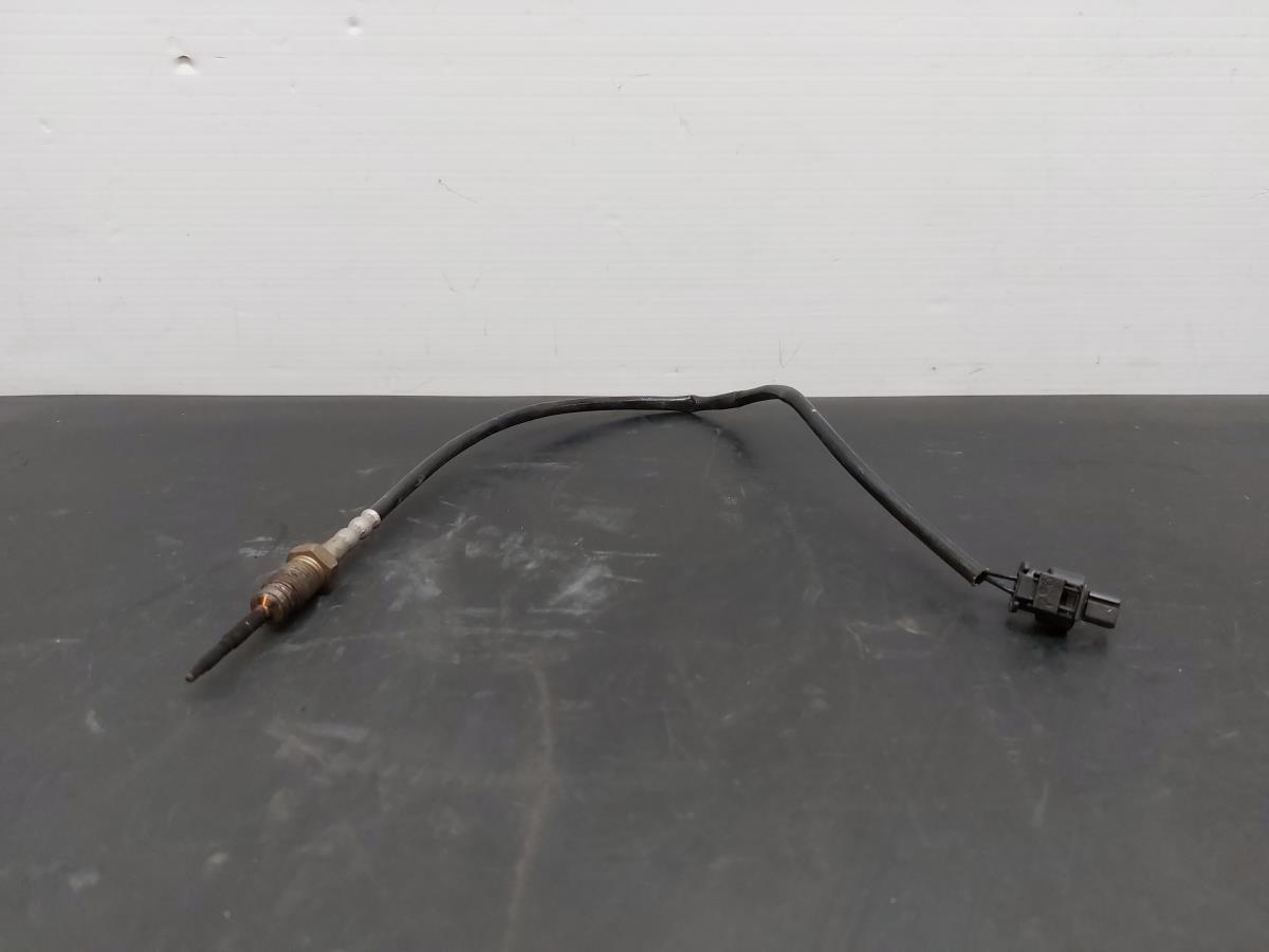 Sensore temperatura BMW 1 (E81)