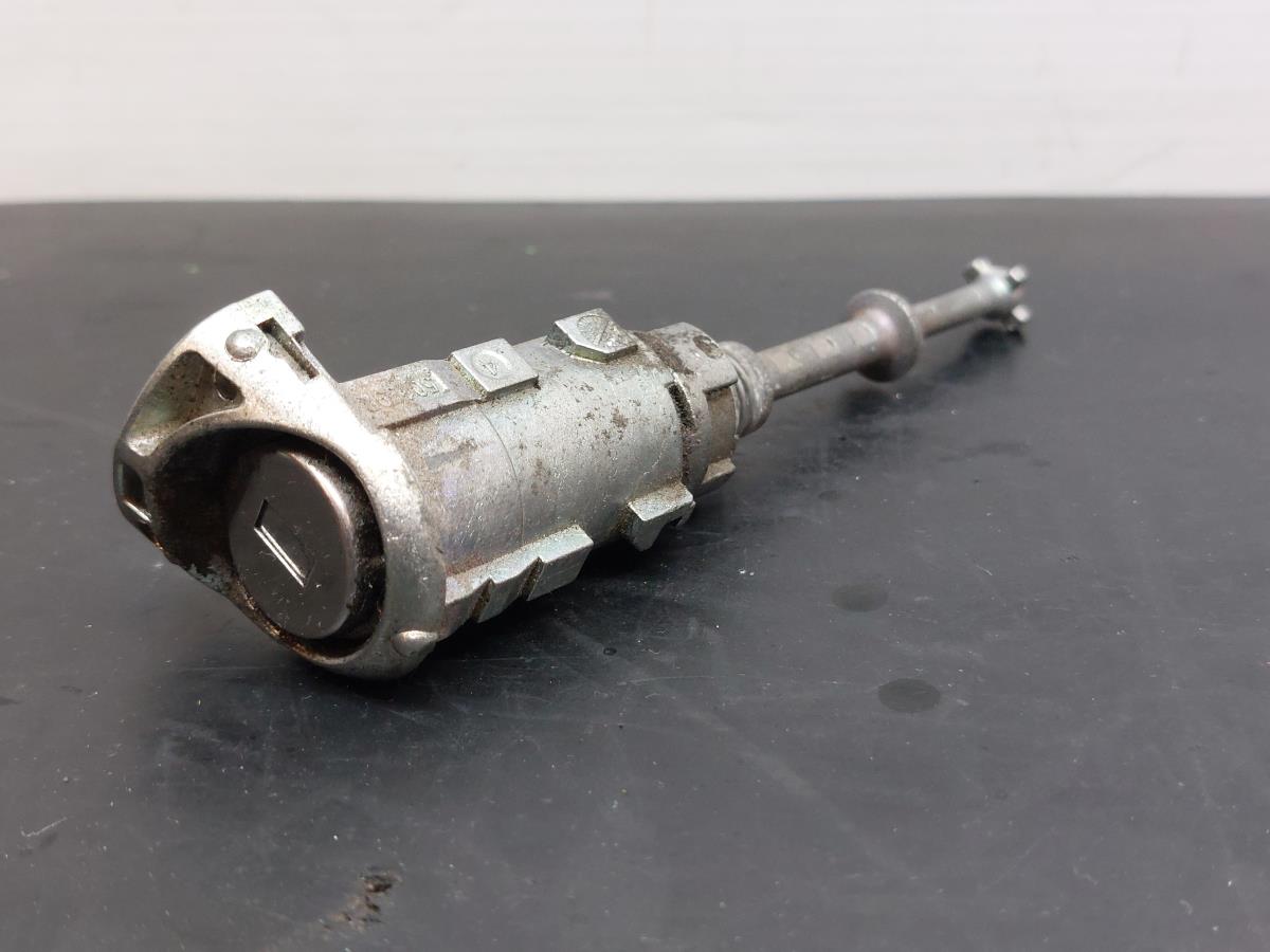 Canhão de porta RENAULT Grand Scénic III (JZ0/1_)