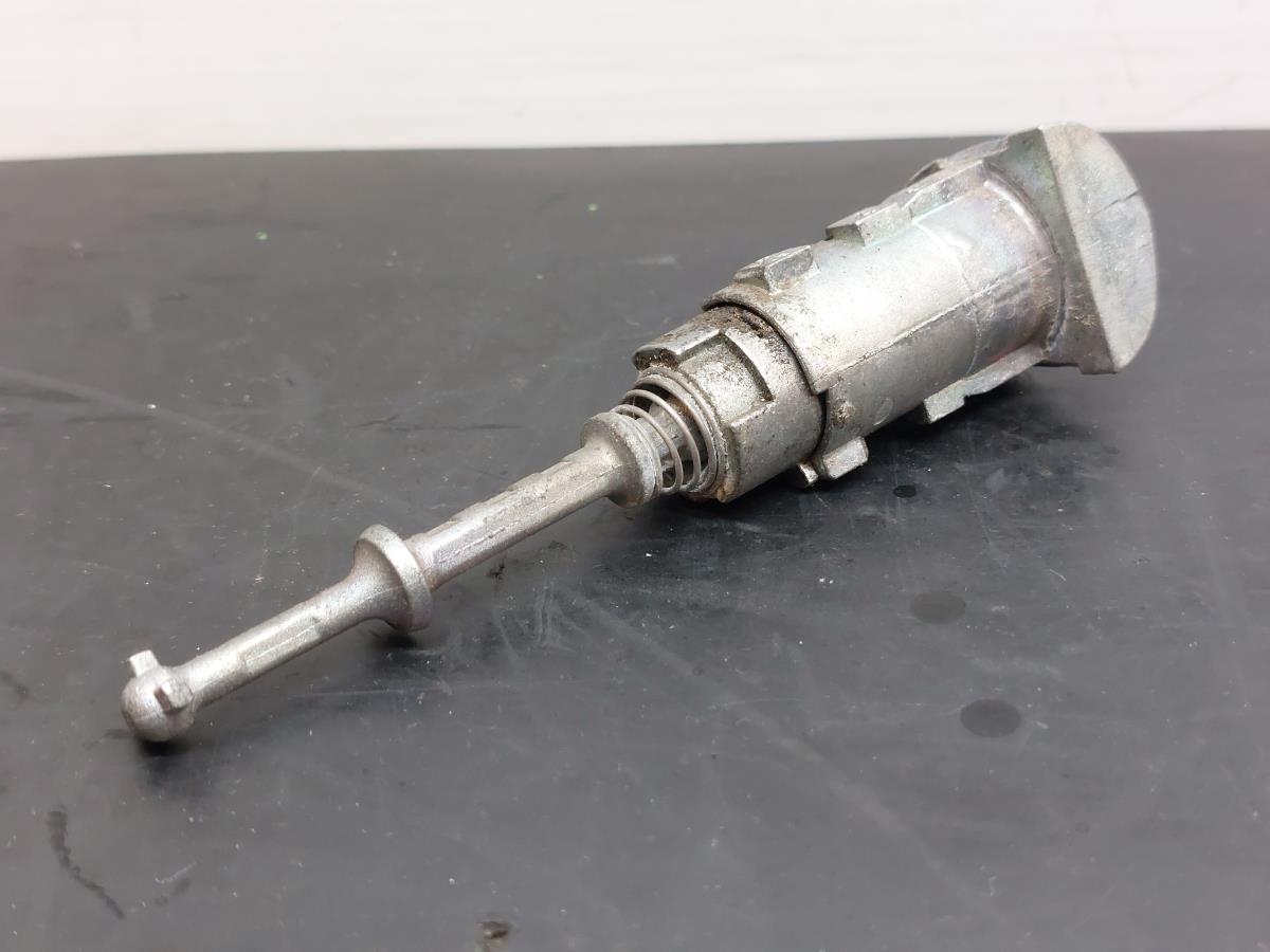 Canhão de porta RENAULT Grand Scénic III (JZ0/1_) Imagem-3