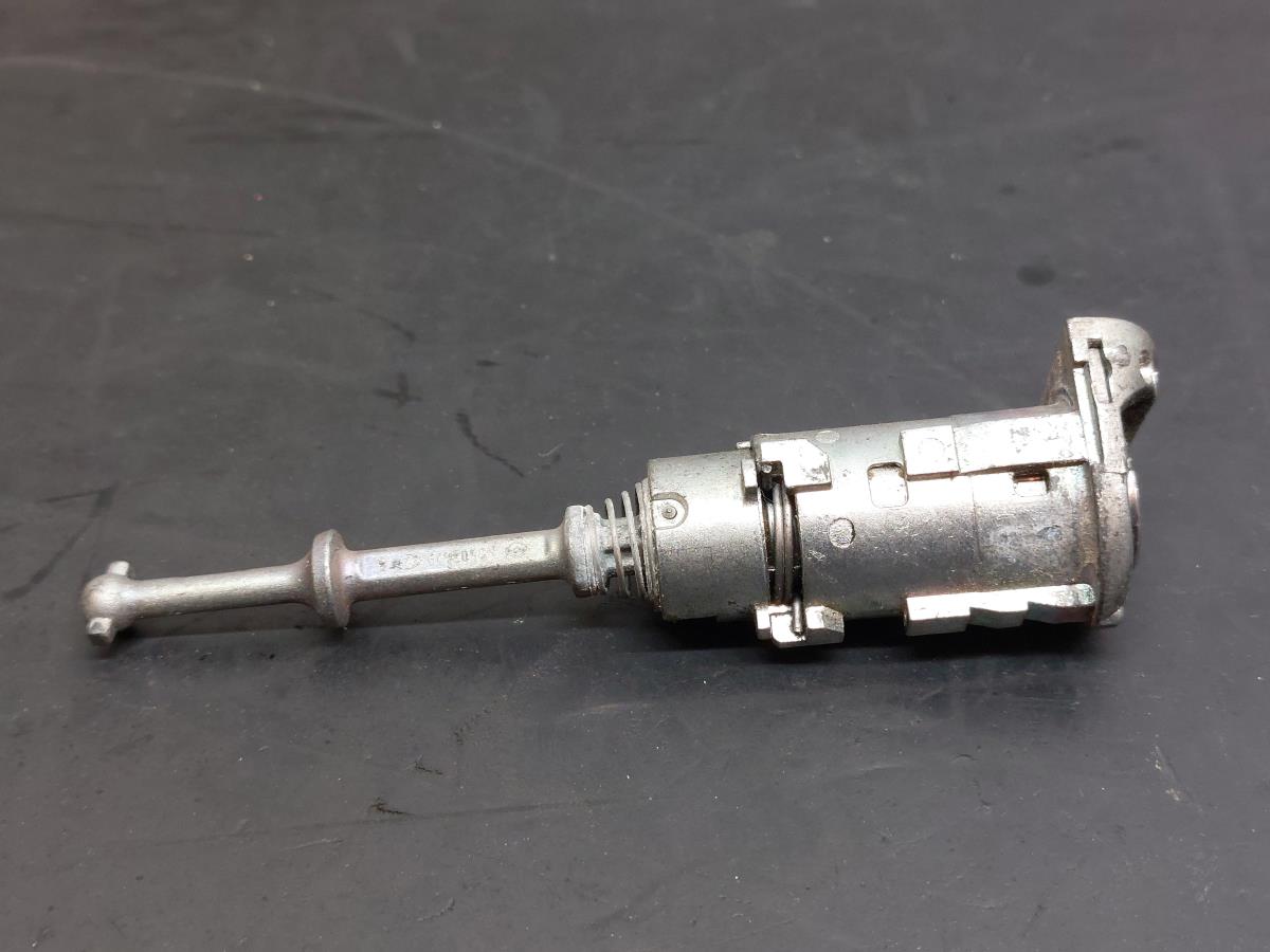 Canhão de porta RENAULT Grand Scénic III (JZ0/1_) Imagem-4