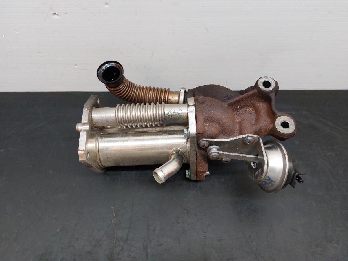 Radiador de gases / EGR DACIA Sandero II (5S_) Imagem-1