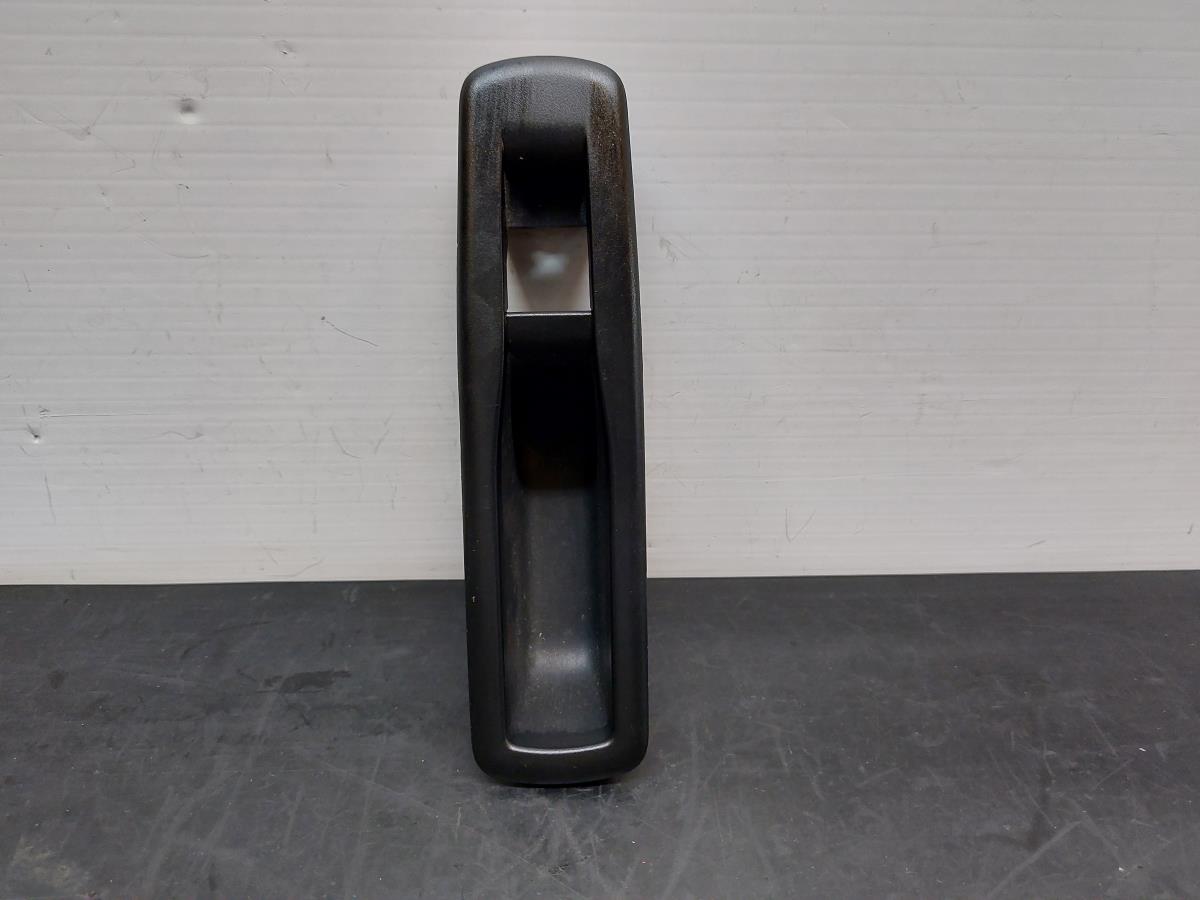 Left rear door trim RENAULT Megane III (BZ0_)