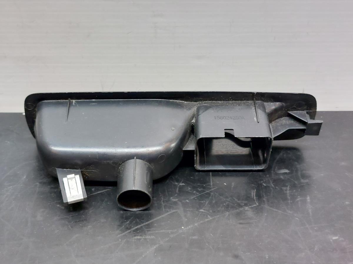 Modanatura porta posteriore destra RENAULT Megane III (BZ0_) Imagem-1