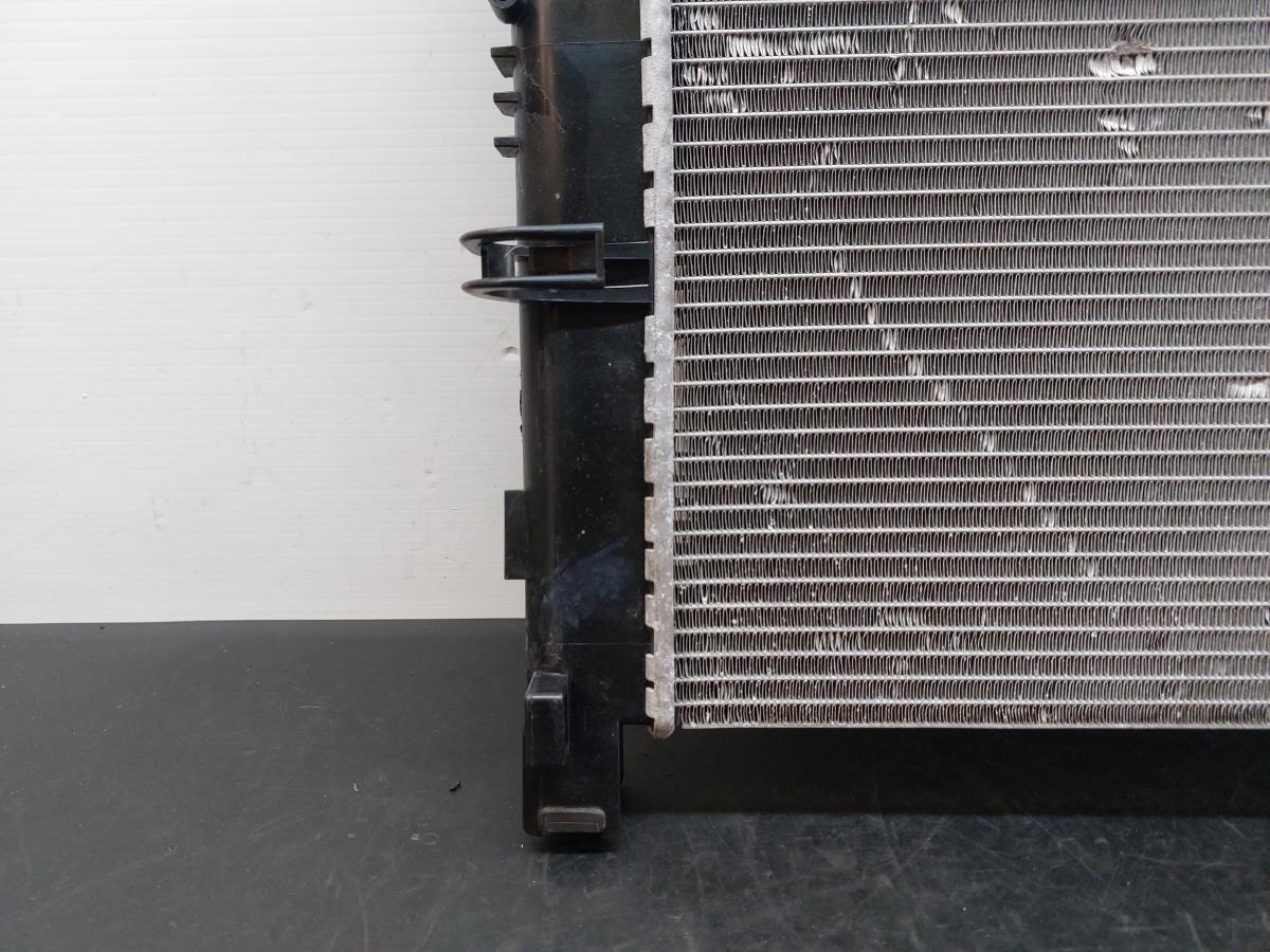 Radiador de água DACIA Sandero II (5S_) Imagem-17