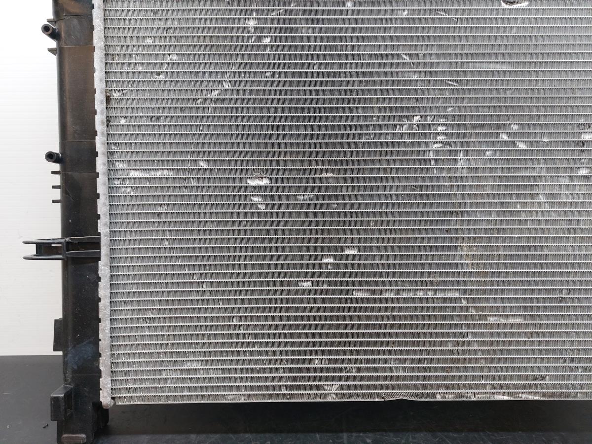 Radiador de água DACIA Sandero II (5S_) Imagem-16